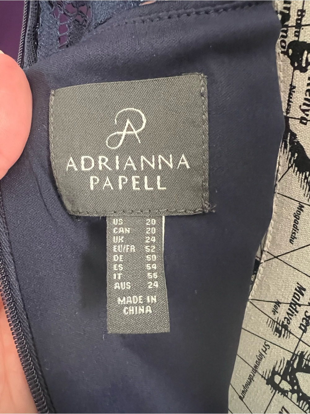 Adrianna Papell Navy Plus Size Maxi Gown with Blue Floral Embroidery - Picture 9 of 11